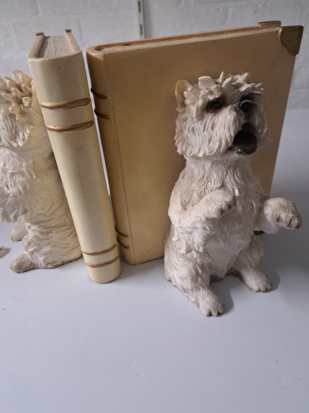 maltezer boeken steun, Enlèvement