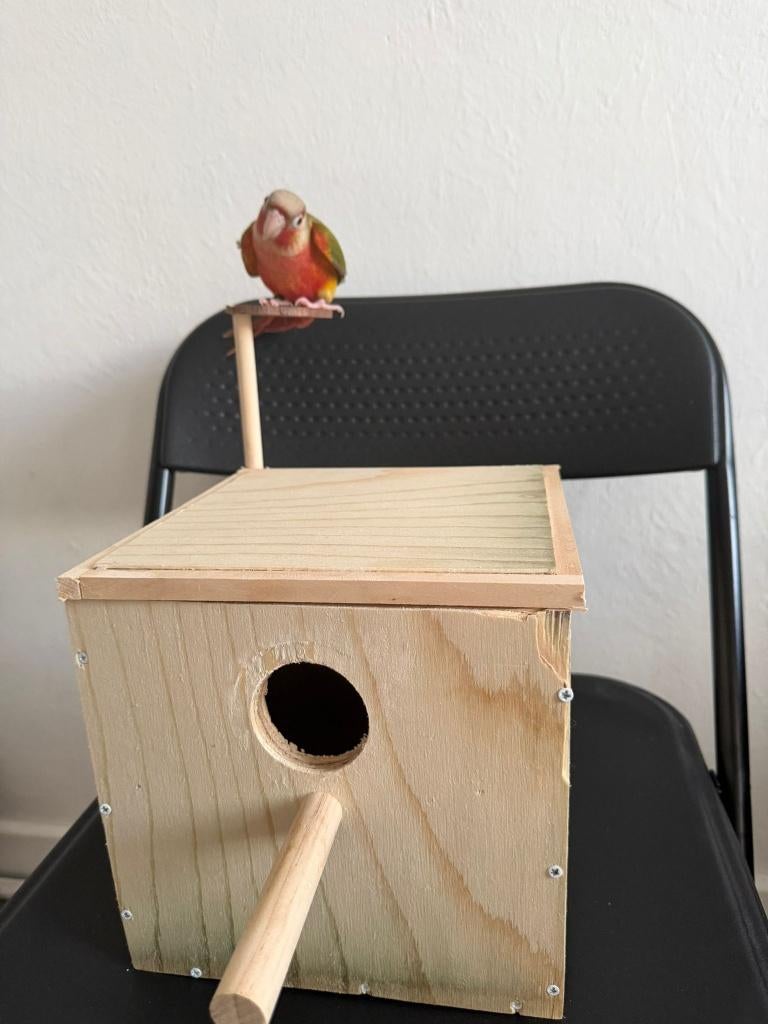 Petit nichoir pour perruche avec perchoir, Animaux & Accessoires, Enlèvement, Bois