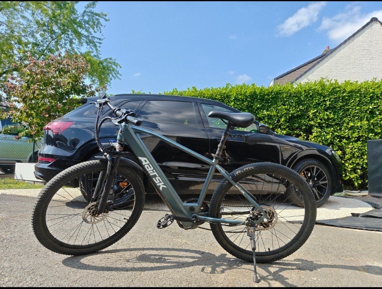 elektrische mountainbike 
Altijd goed onderhoud van gen, Fietsen en Brommers, Ophalen