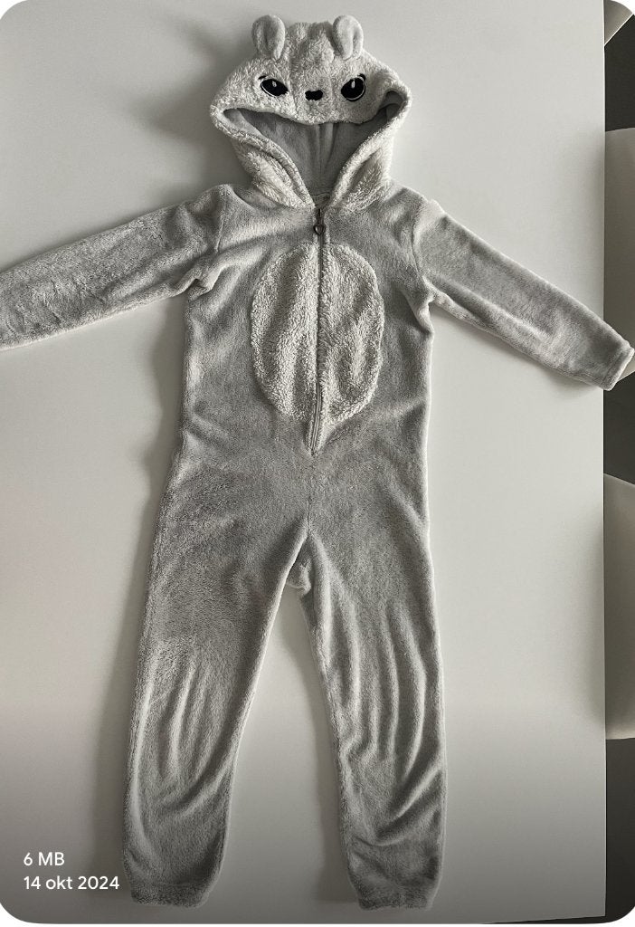 Grijze onesie van Fisch en Chips maat 152, Nacht- of Onderkleding, Fish & Chips, Jongen of Meisje, Ophalen of Verzenden