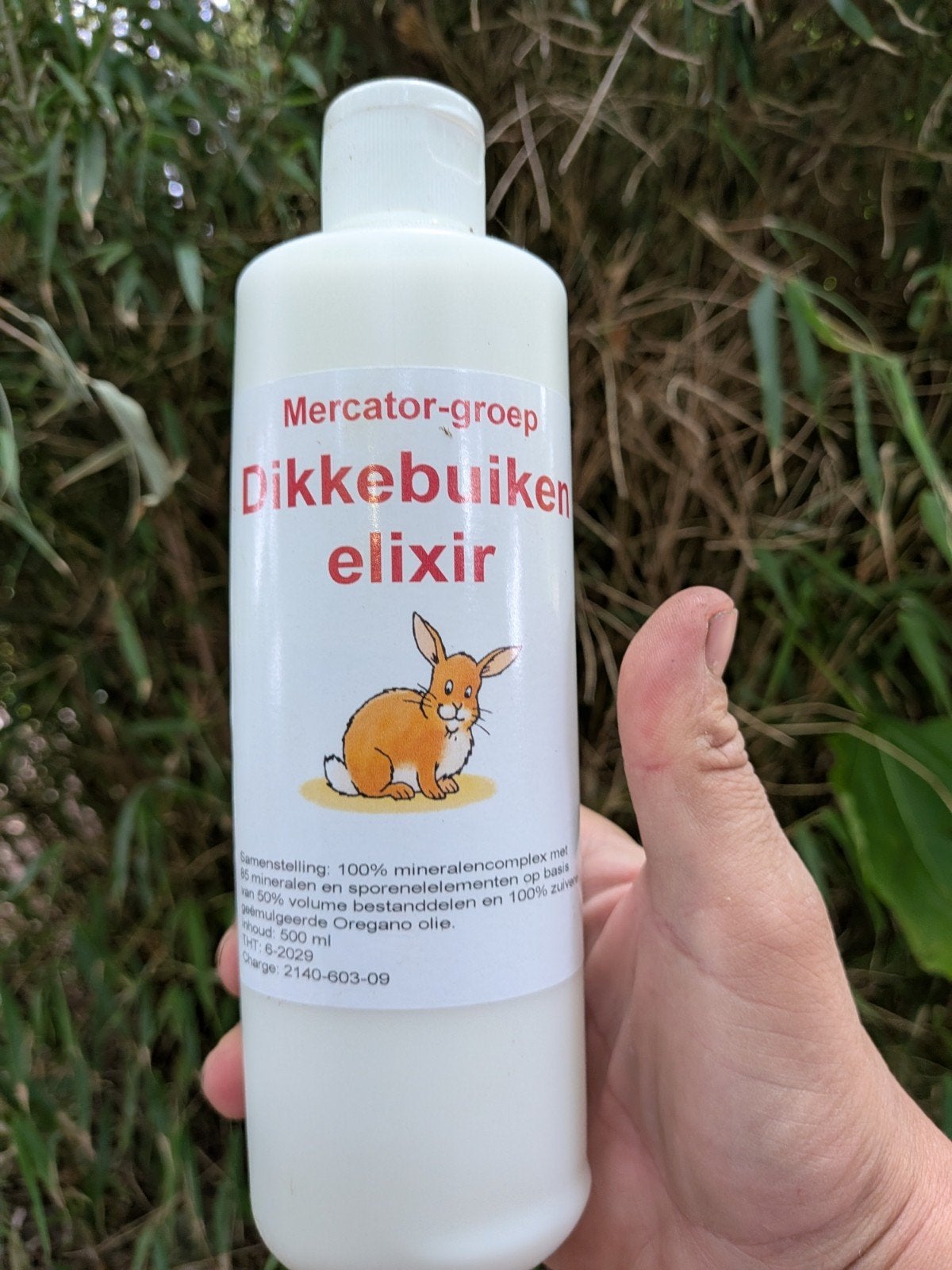 Dikke buiken kruiden, Ophalen of Verzenden