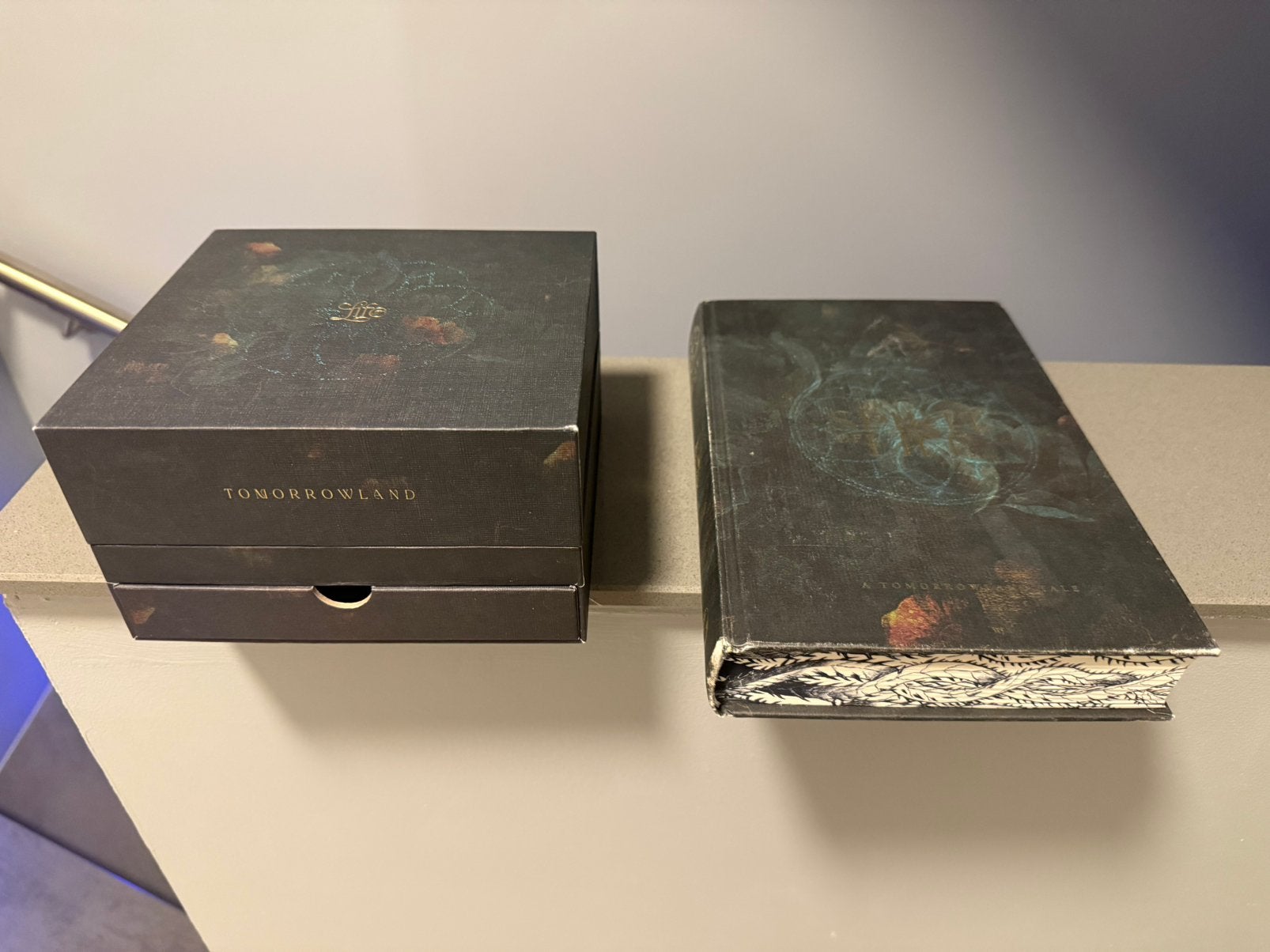La vie de Tomorrowland 2024, Tickets & Billets