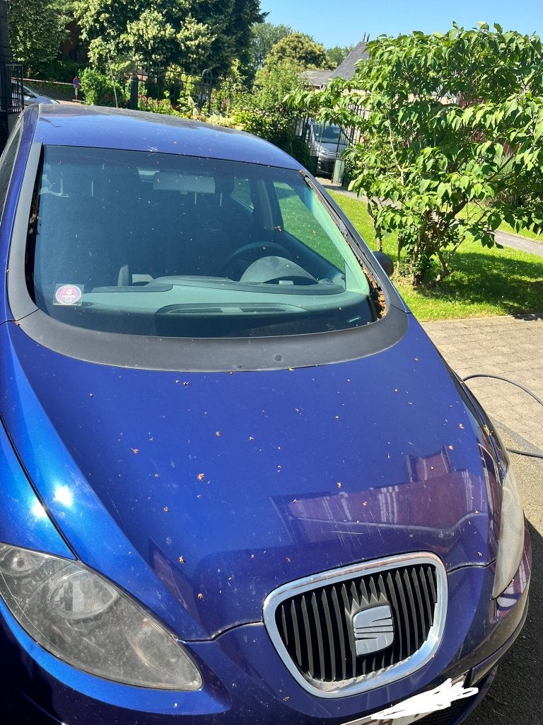 Seat Altea 2004 pour marchand, Autos, Seat, Achat, Boîte manuelle, 1893 cm³, Particulier