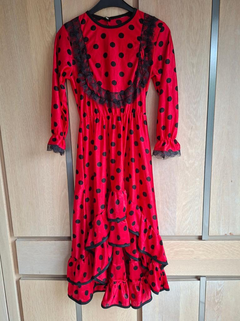 Lang rood flamencokleedje in zeer goede staat, Ophalen, Zo goed als nieuw, Meisje, Jurk of Rok