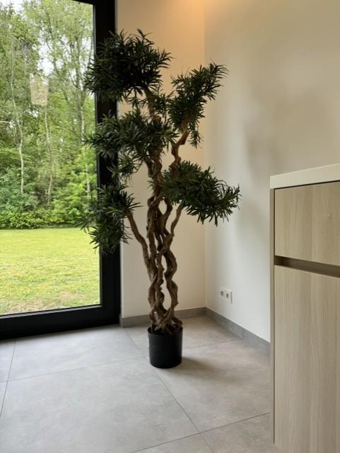 Luxe gekrulde Bonsai, kunstplant, Ophalen, Zo goed als nieuw, Kunstplant