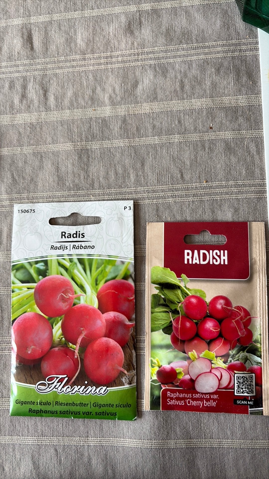 Graines de radis, Enlèvement ou Envoi, Printemps, Graine