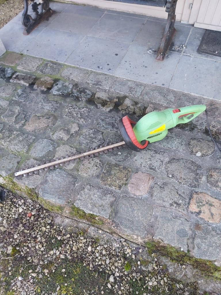 Heggenschaar, Jardin & Terrasse, Taille-haies, Enlèvement