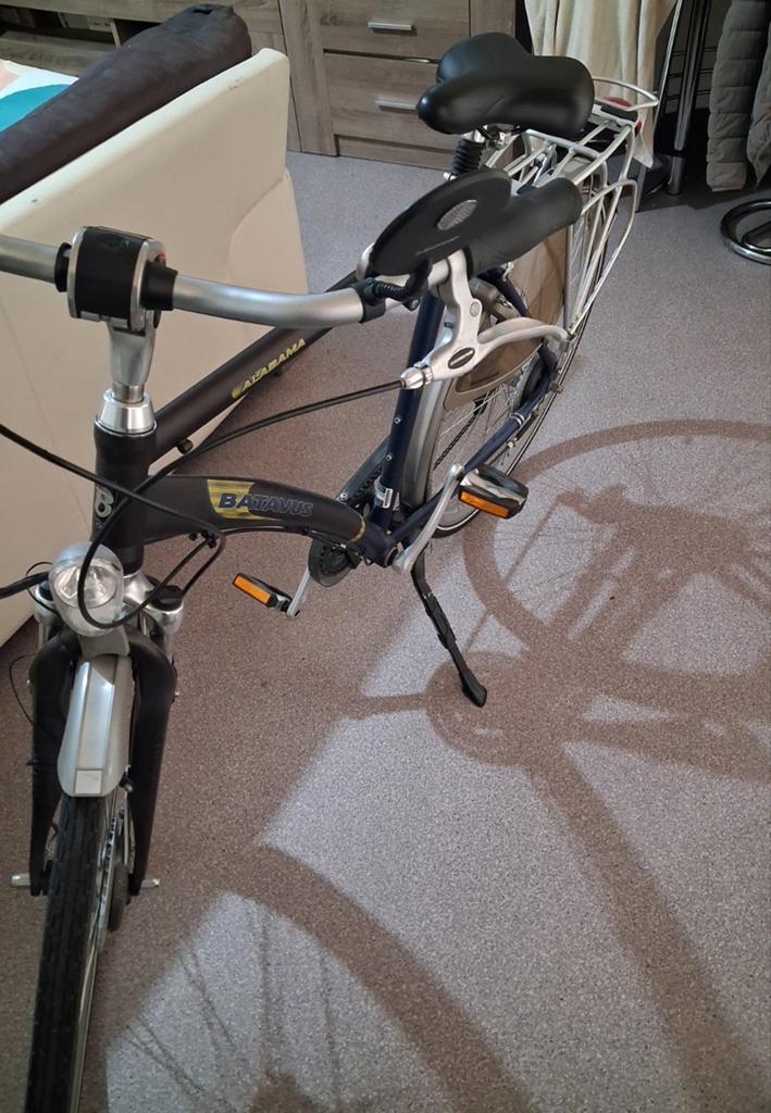 Fiets, Fietsen en Brommers, Elektrische fietsen, Ophalen