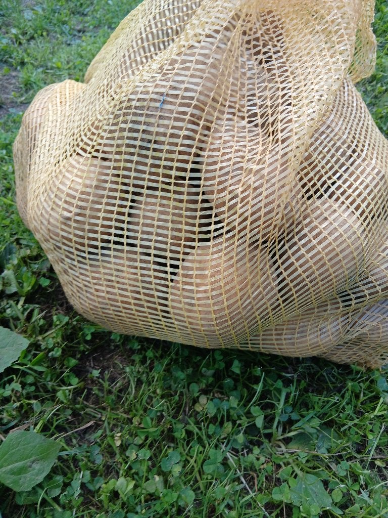Bioaardappelen, Articles professionnels, Enlèvement