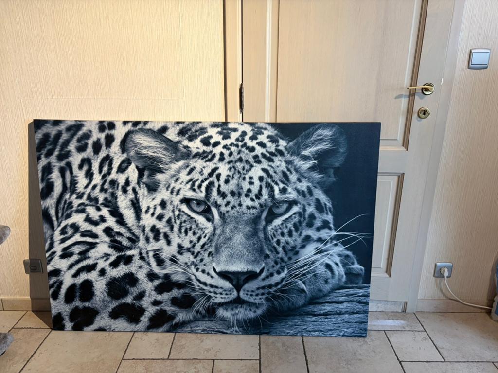 Fotokader, Antiek en Kunst, Ophalen