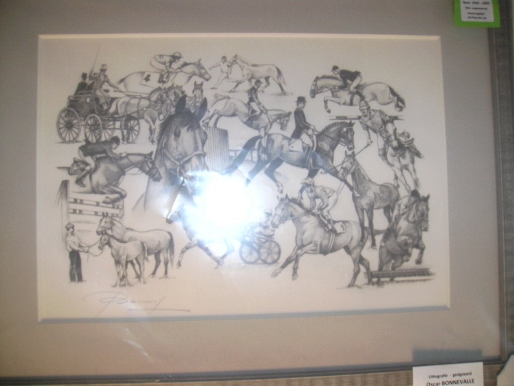 litho -Oscar Bonnevalle, Antiek en Kunst, Kunst | Litho's en Zeefdrukken, Met glas, Ophalen, Dieren en Natuur, Lithografie