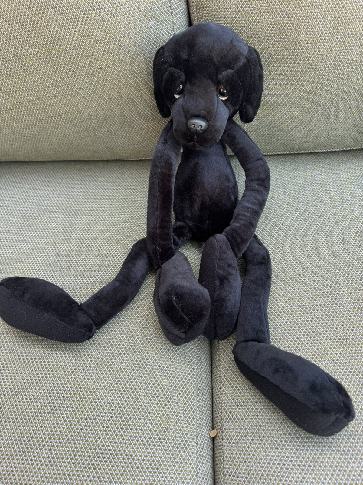Knuffel labrador met velcro poten, Neuf, Overige karakters, Chien, Noir