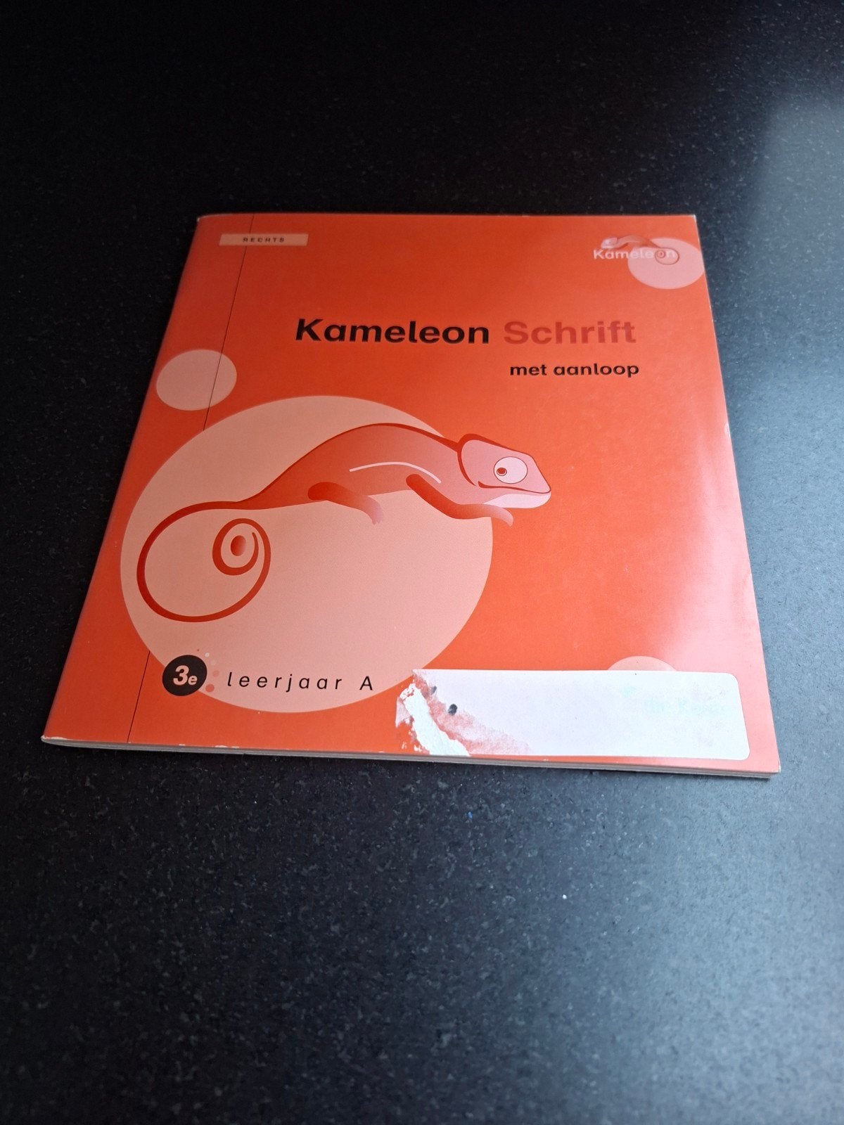 kameleon schrift met aanloop, Boeken, Ophalen of Verzenden, Nieuw