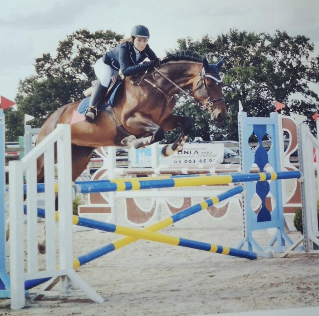 Halve stal gezocht - Merksplas, Merrie, 165 tot 170 cm, Springpaard, 11 jaar of ouder