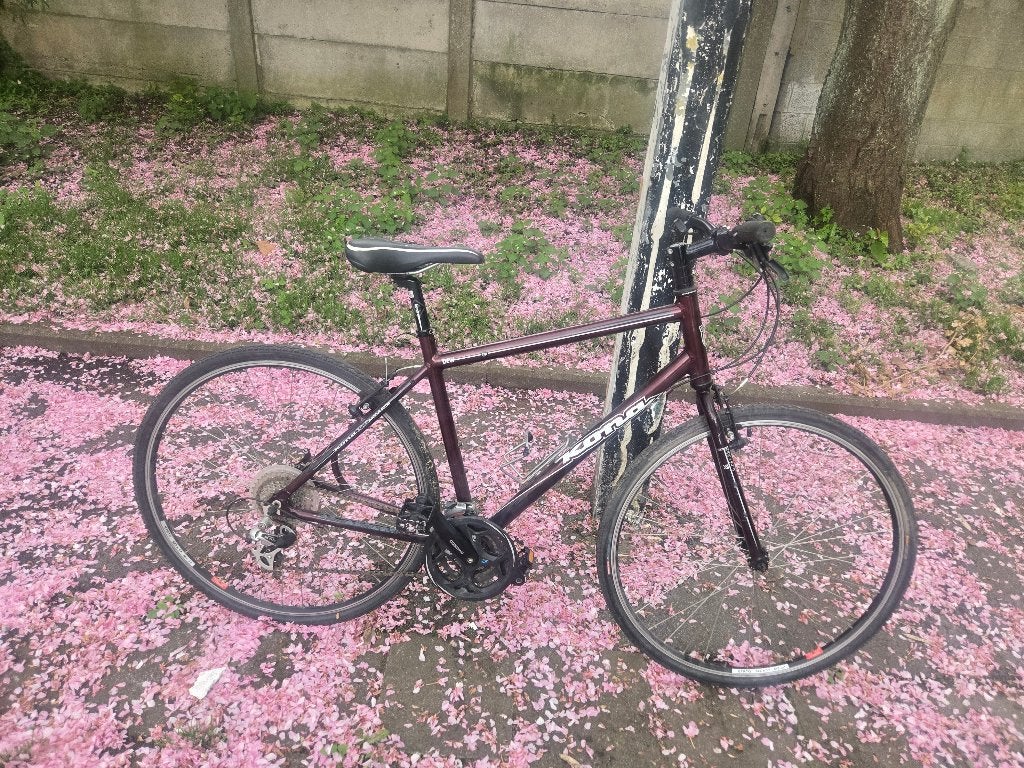 Velo homme, Vélos & Vélomoteurs, Enlèvement, Comme neuf