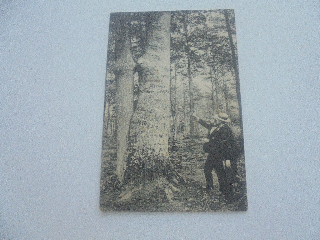 averbode- le mariage (chenes-hetre), Verzamelen, Ophalen of Verzenden, Voor 1920, Gelopen, Brussel (Gewest)