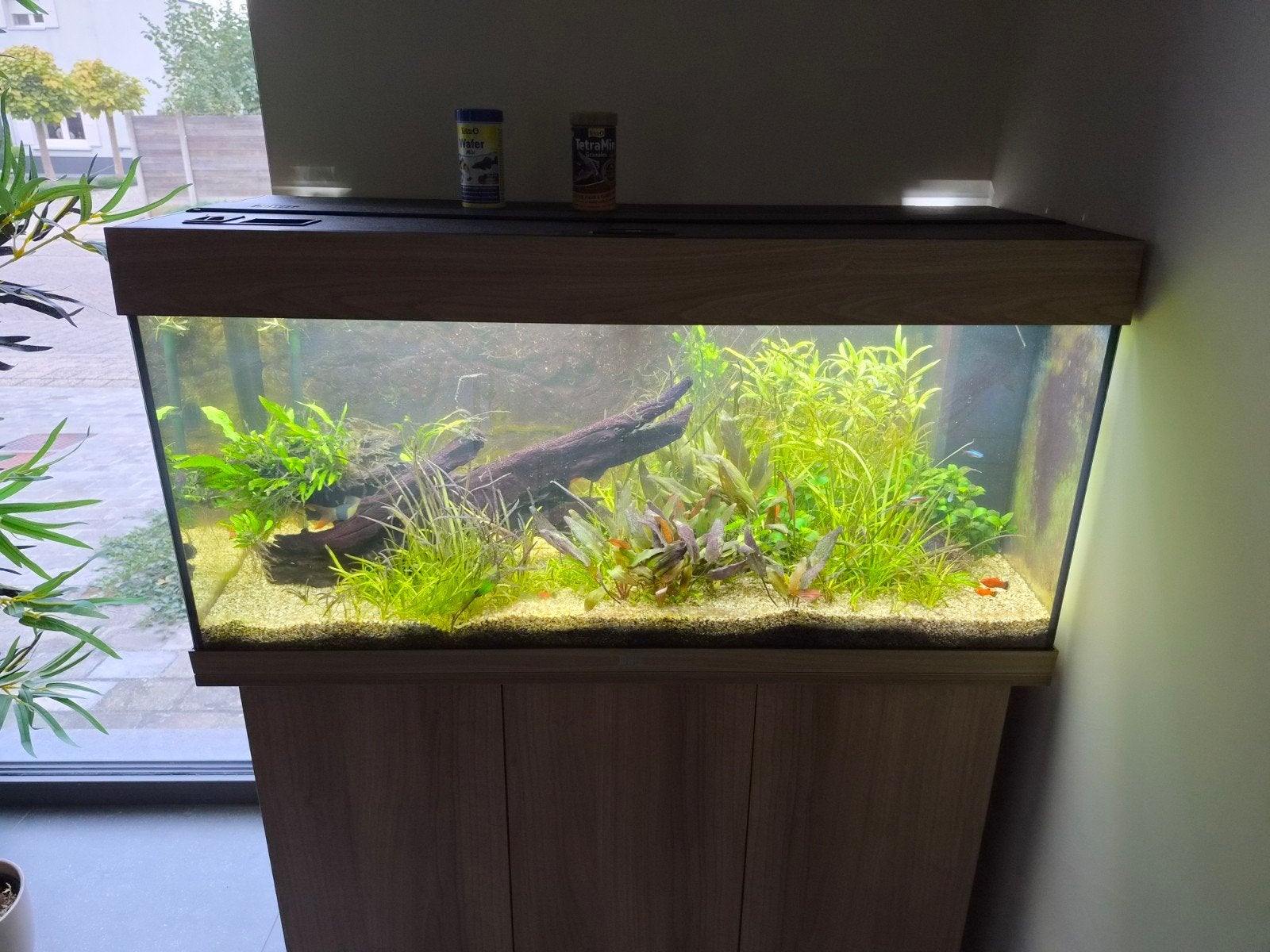 Aquarium juwel RIO 1m met bijhorend meubel, Animaux & Accessoires, Accessoires inclus, Aquarium d'eau douce rempli, Enlèvement