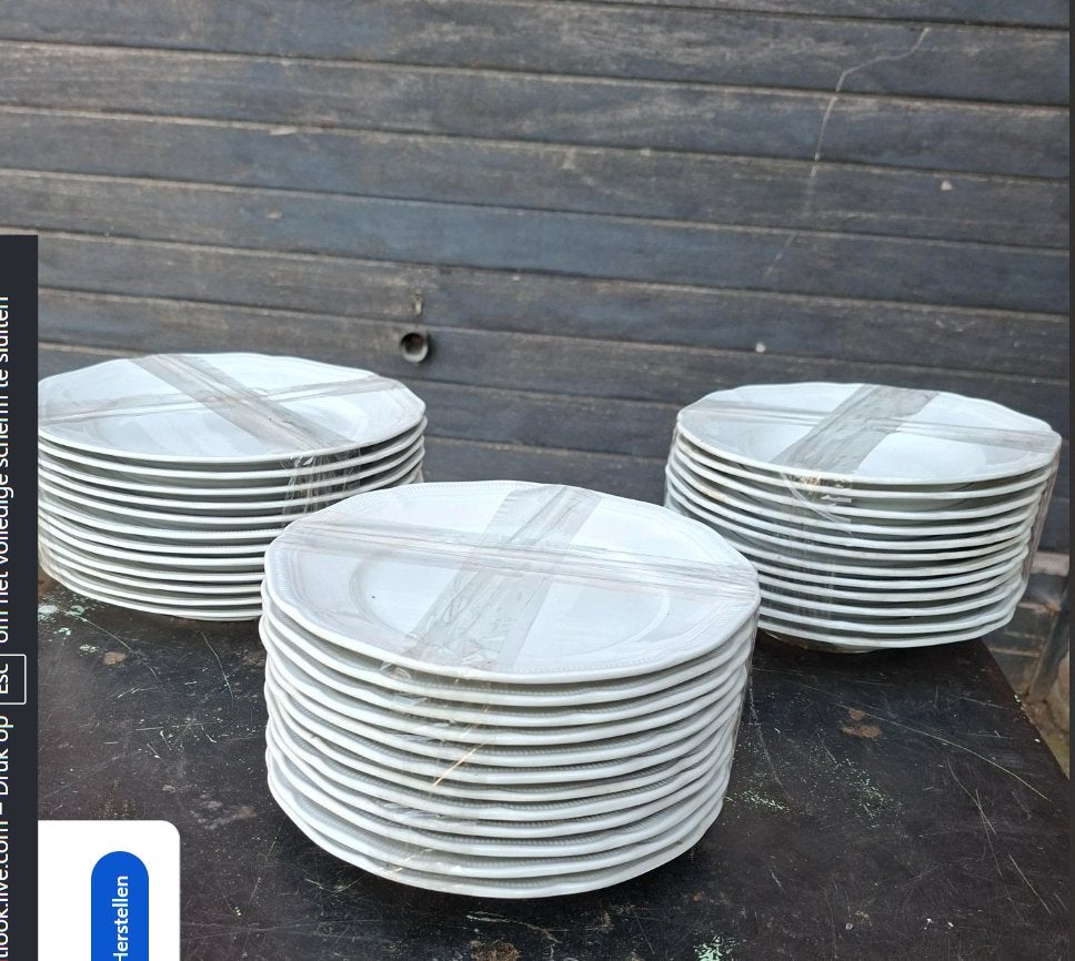 36 HOTELPORZELEIN + BESTEKKEN, Ophalen of Verzenden, Zo goed als nieuw, Inox of Chroom, Los bestek