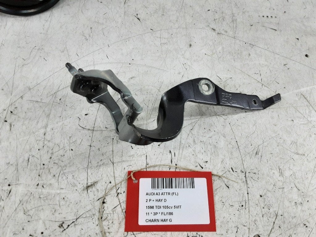 COFFRE COUVERCLE CHARNIERE GAUCHE Audi A3 (8P1) (8P3327299), Autos : Pièces & Accessoires, Mevr. I. Hauben, Audi, Utilisé, Rue de l'Espoir 34 34
4030  GRIVEGNÉE, BE
