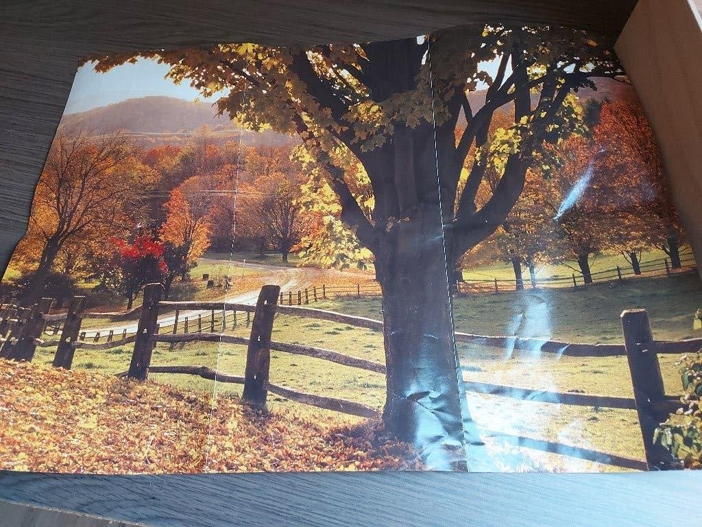 PUZZEL 1000 stuks, Ophalen