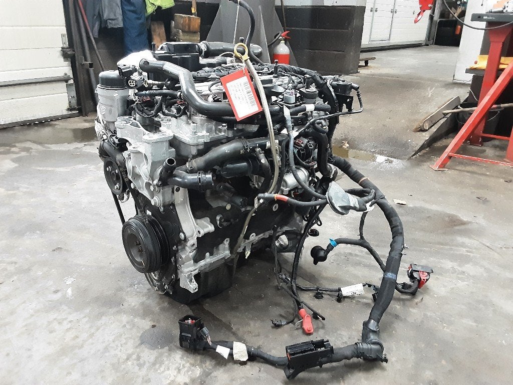 MOTEUR Land + Range Rover Discovery Sport (LC) (AJ20P4), Land Rover, Mevr. I. Hauben, Utilisé, Rue de l'Espoir 34 34
4030  GRIVEGNÉE, BE