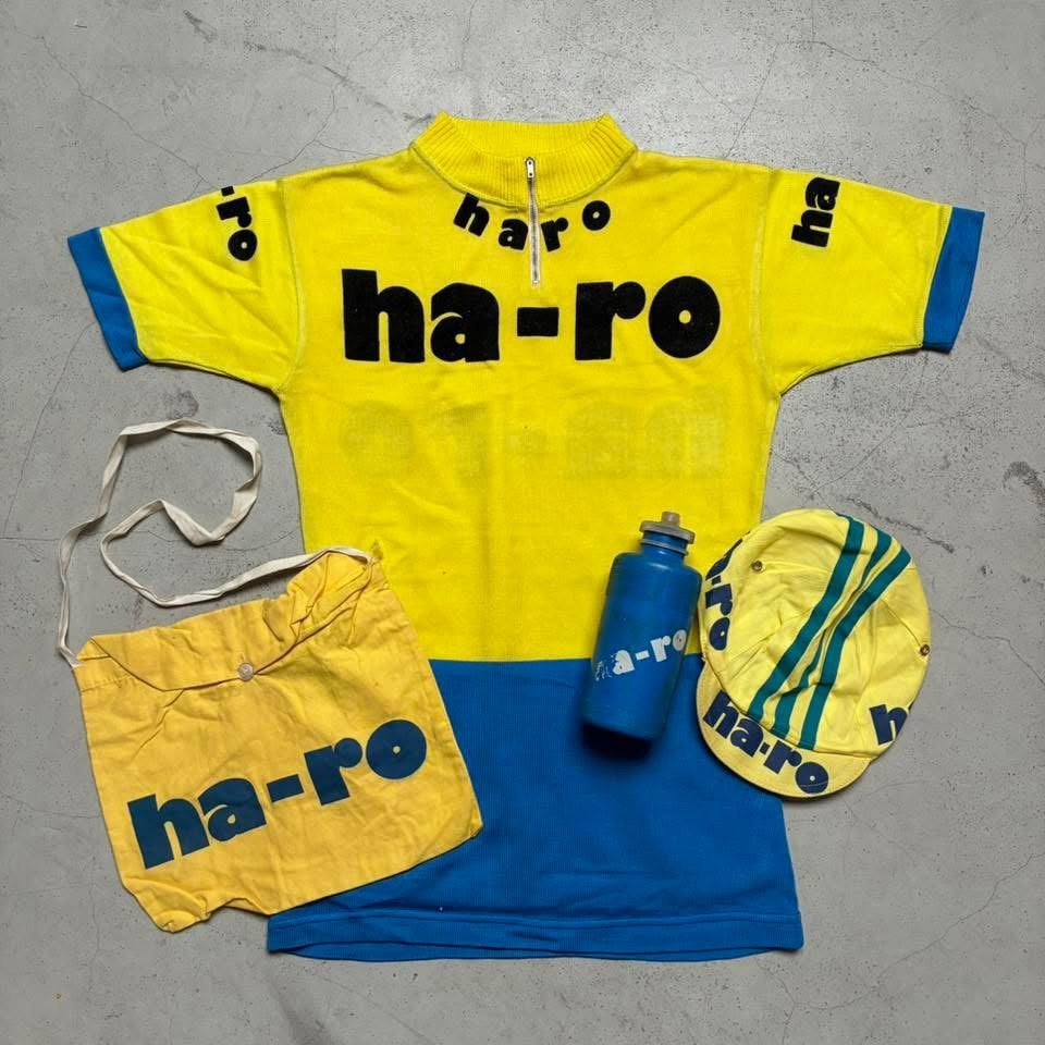 Ha-ro koerstrui wielertrui 1973, Fietsen en Brommers, Ophalen of Verzenden, Zo goed als nieuw, S