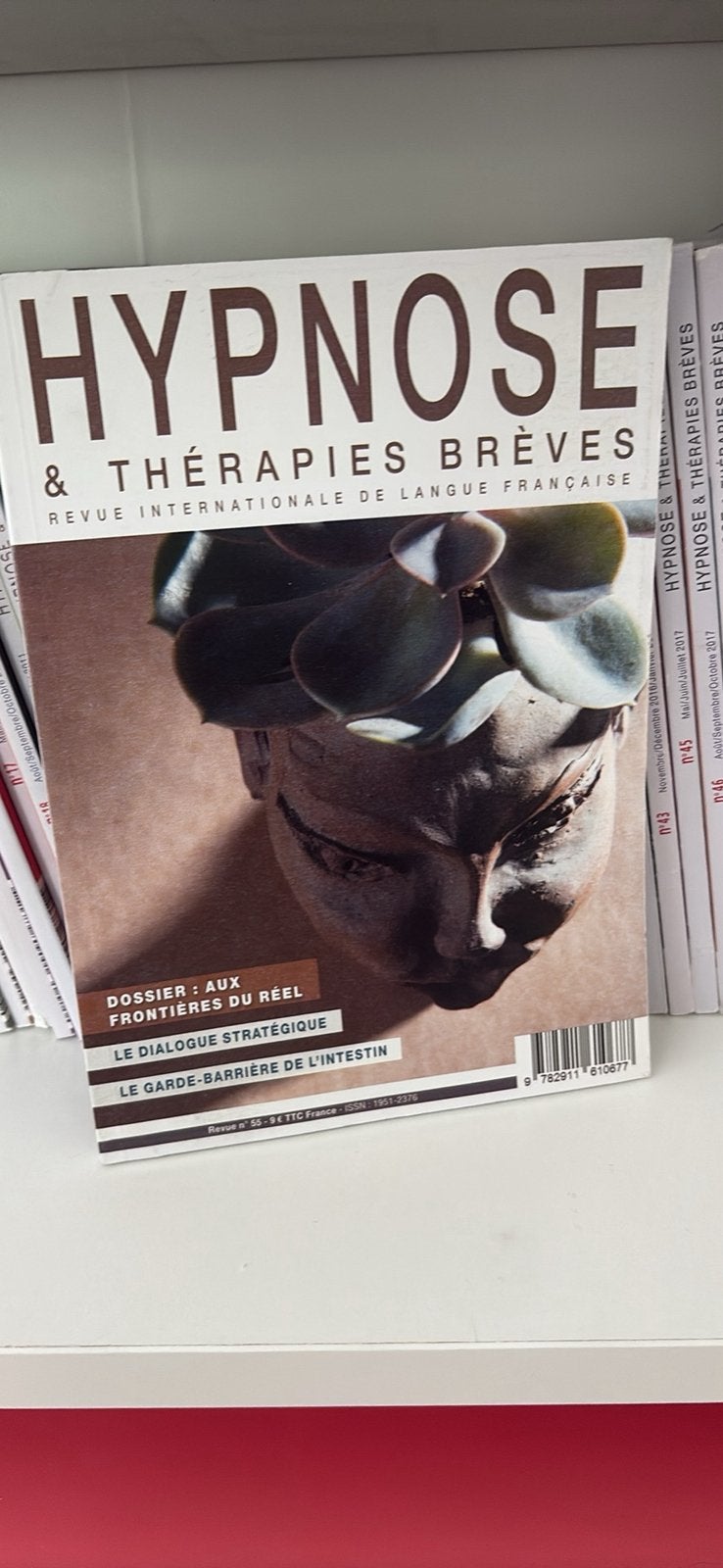 Lot de 50 livres hypnose et therapie breves, Livres, Enlèvement, Comme neuf