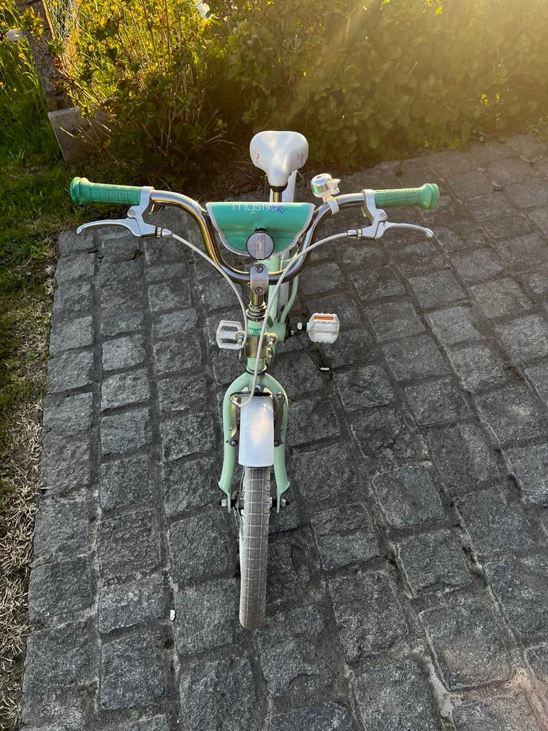 Kinderfiets 20 inch Trek, Ophalen, Zo goed als nieuw
