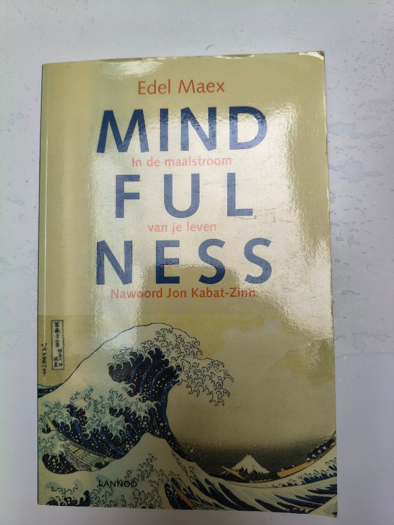 Mindfulness in de maalstroom van je leven - Edel Maex, Boeken, Meditatie of Yoga, Overige typen, Edel Maex en Jon Kabat-Zinn, Ophalen