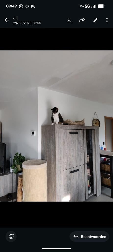 Complete eetkamer set, Ophalen