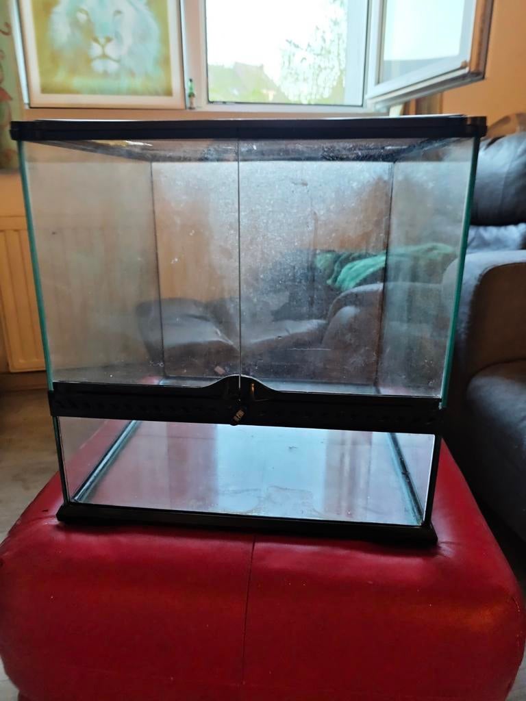 Exo terra 45×45×45, Dieren en Toebehoren, Ophalen, Zo goed als nieuw, Terrarium of Paludarium