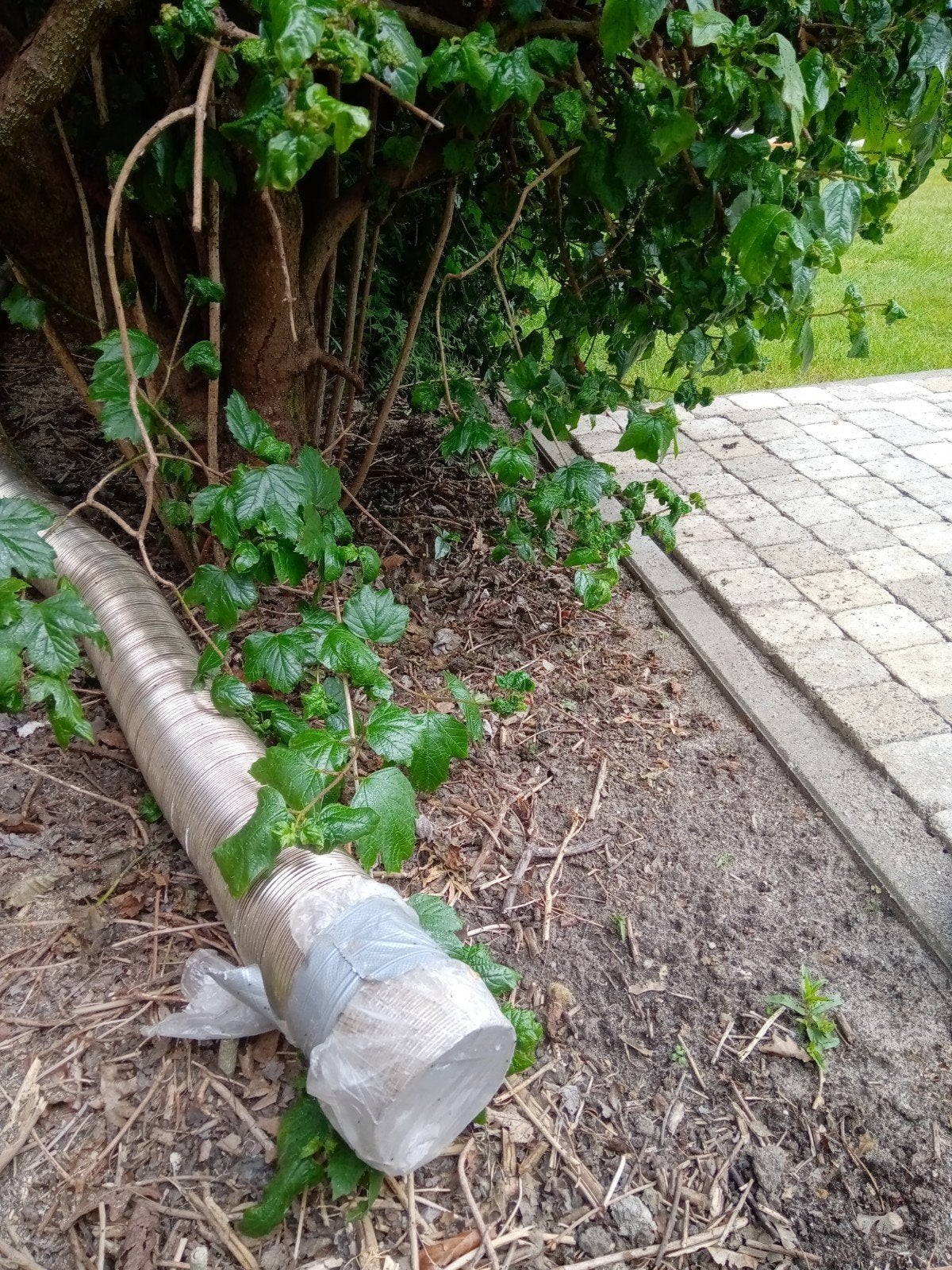 Flexibel, Tuin en Terras, Ophalen