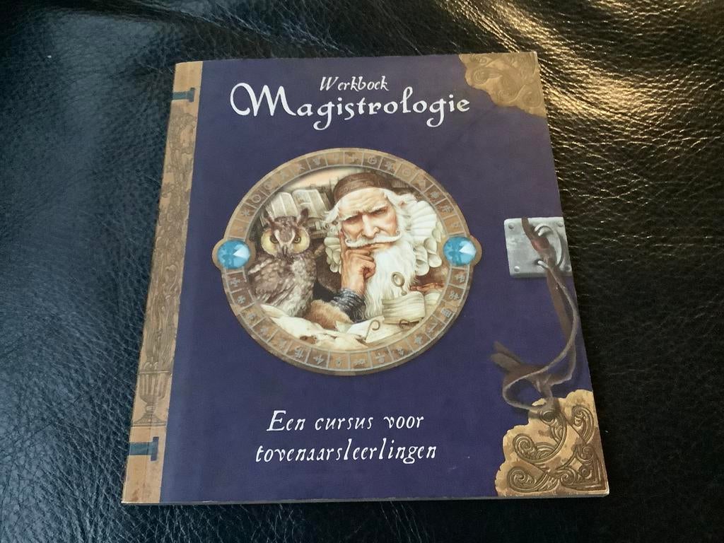 D. Steer - Werkboek magistrologie special, Boeken, Ophalen of Verzenden, D. Steer