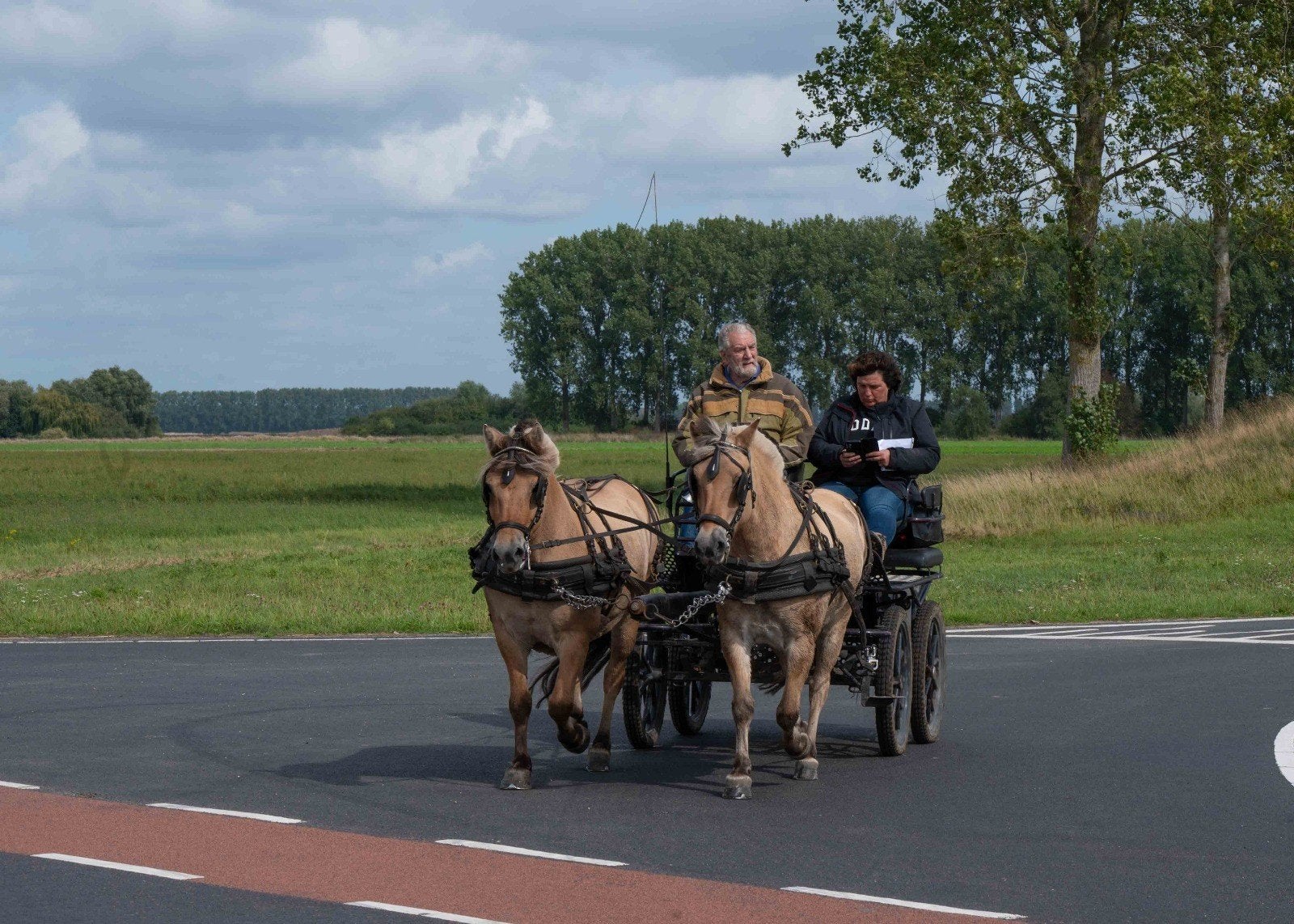 Te koop 2 fjorden ruinen, Animaux & Accessoires, Chevaux