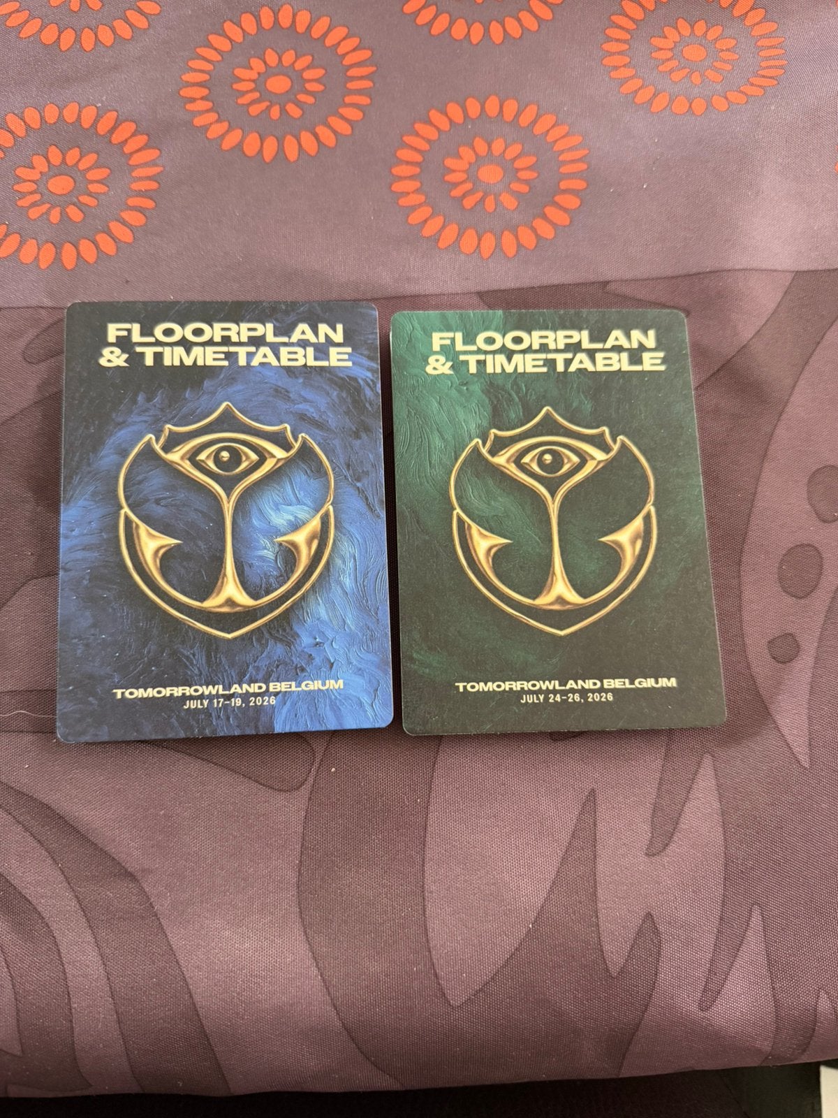 Timetables tomorrowland, Enlèvement