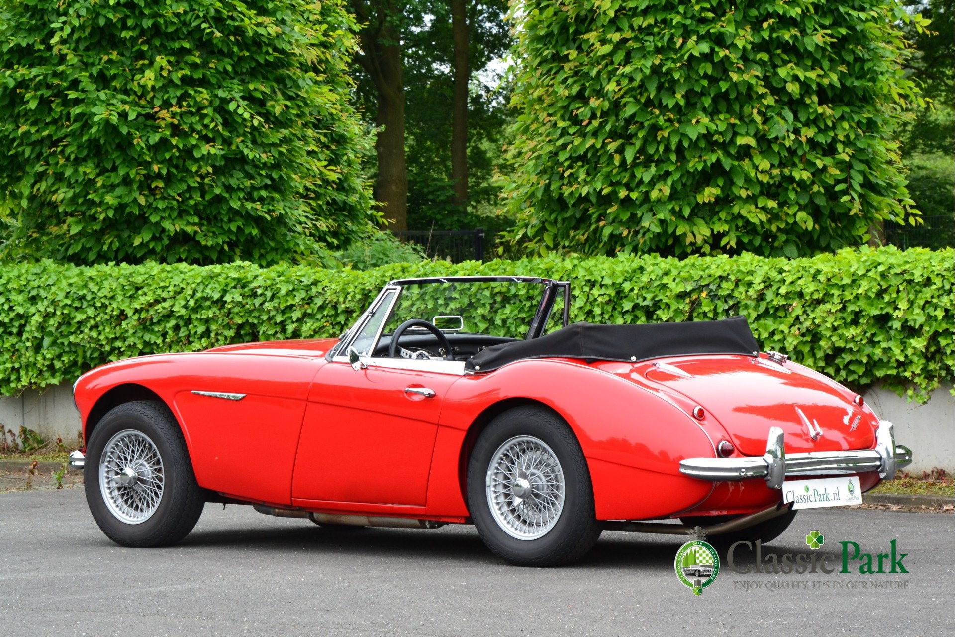 Austin Healey 3000 MK II A (bj 1962), foto 3