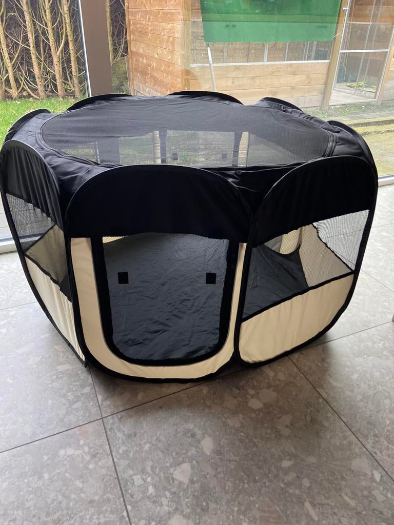 Dreamble puppren, Dieren en Toebehoren, Ophalen