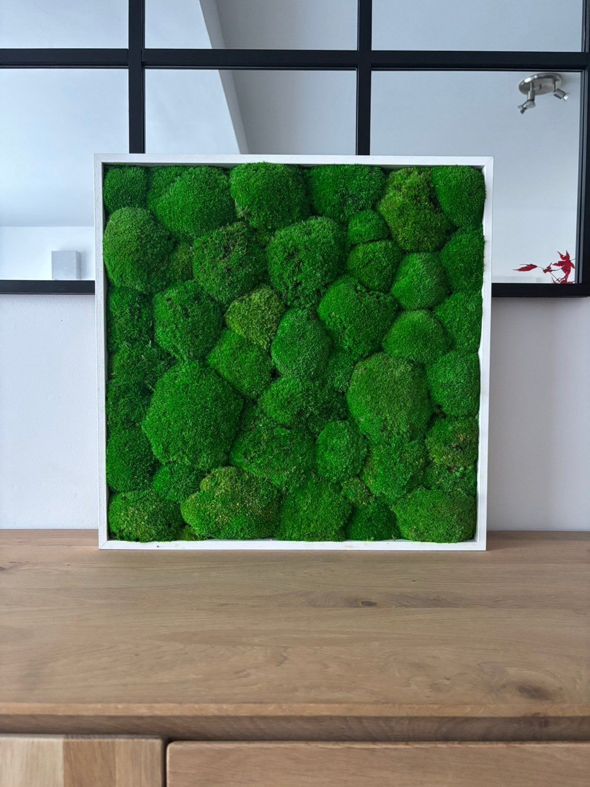 Cadre végétal stabilisé, Maison & Meubles, Neuf, 50 cm, Enlèvement, Bois