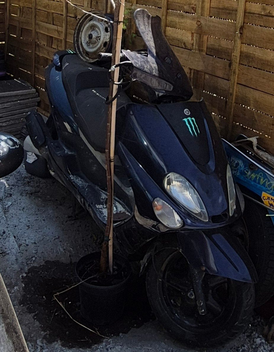 YAMAHA MAJESTY 125 non tournant avec clé et papier, Motos, Particulier, Neuf, Scooter