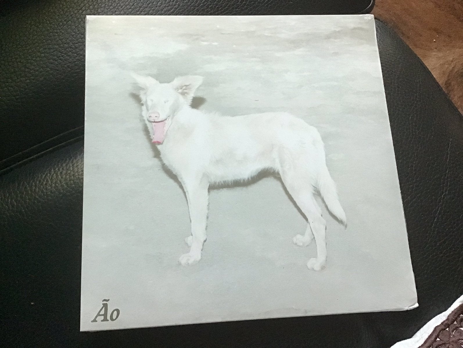 Vinyl van Ão - Malandra, Cd's en Dvd's, Vinyl | Overige Vinyl, Ophalen, LP, Overige formaten, Geseald