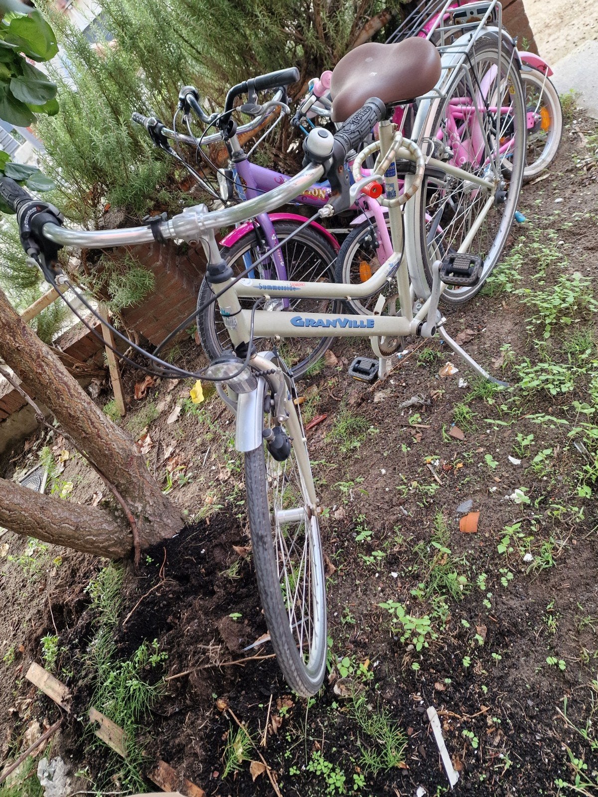 moie damesfiets, Fietsen en Brommers, Ophalen
