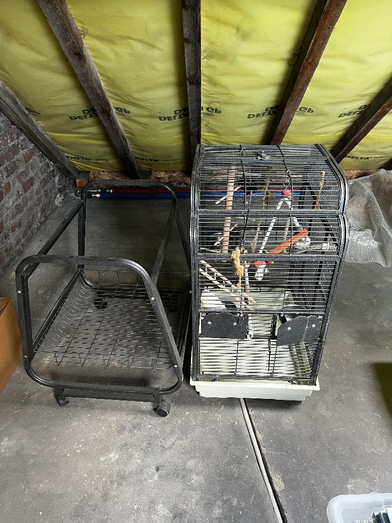 Papegaaienkooi, Enlèvement, Utilisé, Métal, Cage à oiseaux