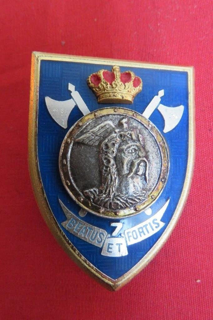 Borsthanger : Gepantserd, Ophalen of Verzenden, Landmacht, Embleem of Badge