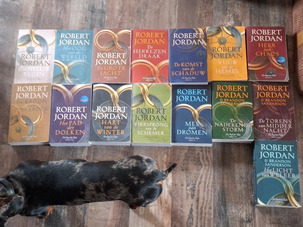 Rad des tijds boekenreeks - Robert Jordan - Nederlandstalig, Boeken, Fantasy, Ophalen, Gelezen, Robert jordan