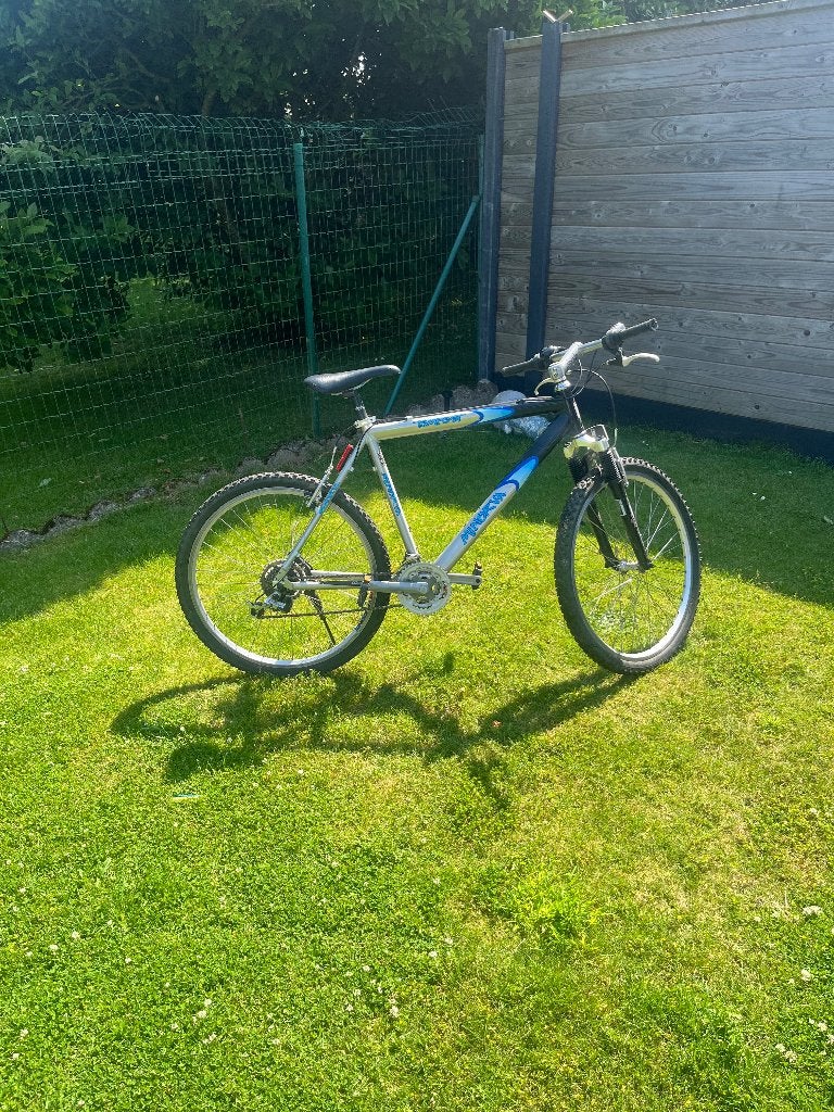 Fiets, Fietsen en Brommers, Gebruikt, Velgrem, Versnellingen, 65 cm of meer