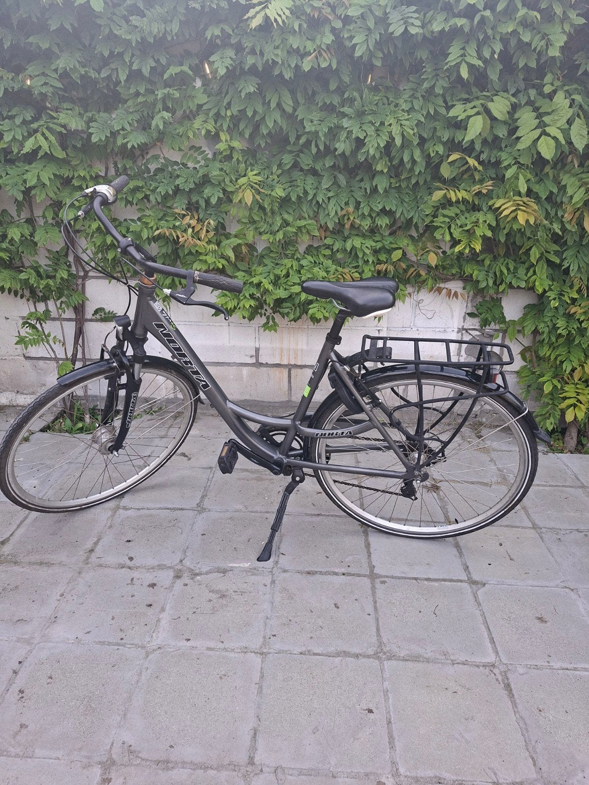 Damesfiets (tieners), Fietsen en Brommers, Ophalen