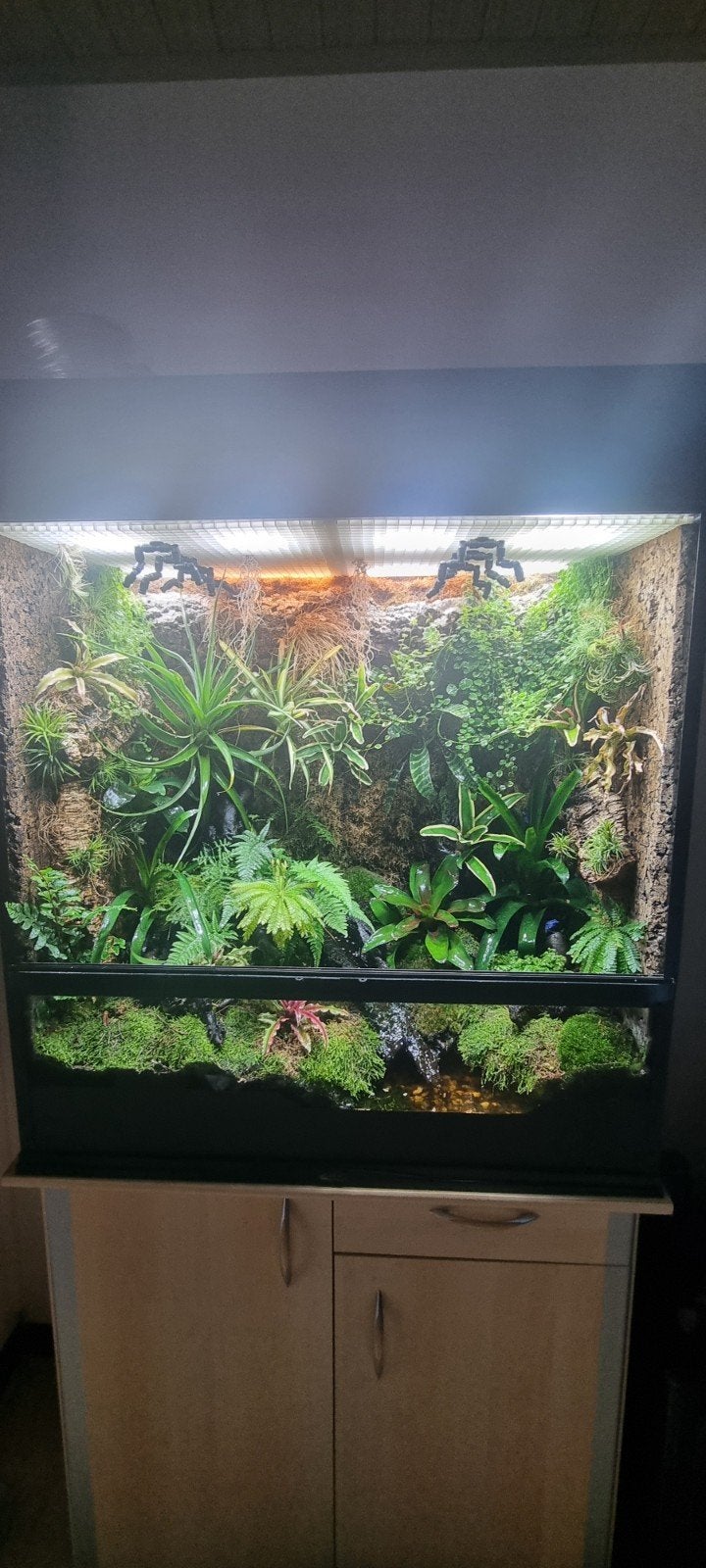 Paludarium 90h90b45d, Animaux & Accessoires, Reptiles & Amphibiens | Accessoires, Enlèvement