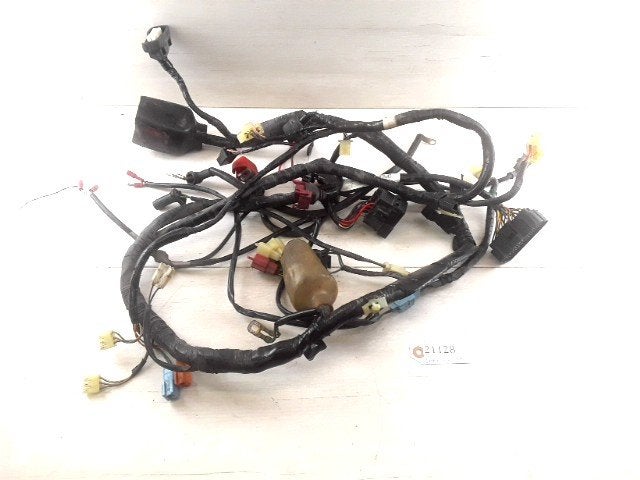 CBR600F 1999 - 2000 Honda Kabelboom Kabelboom hoofd D1-39014