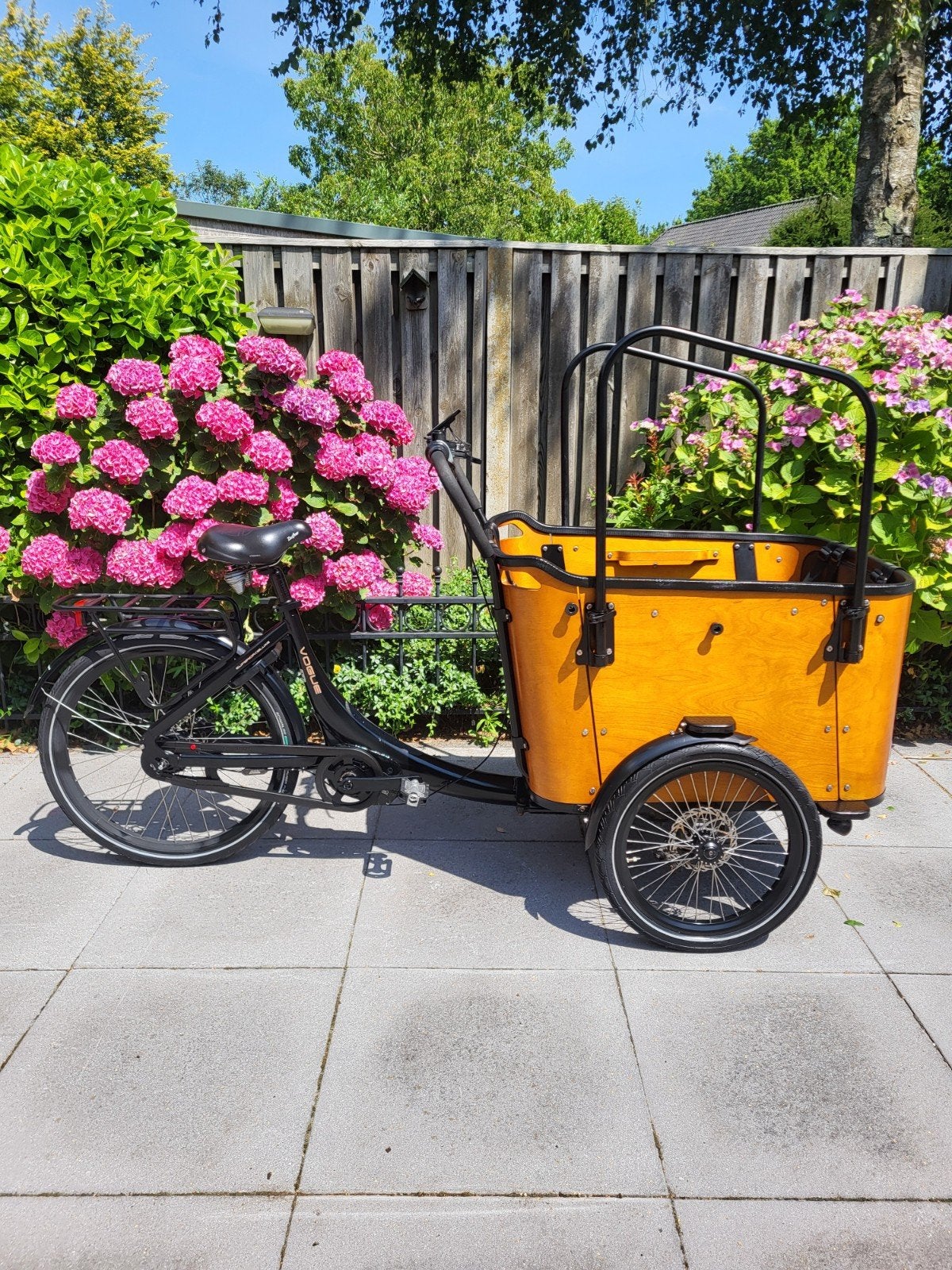 Heb nog een hele goede en nette elektrische bakfiets carry 3, Fietsen en Brommers, Ophalen