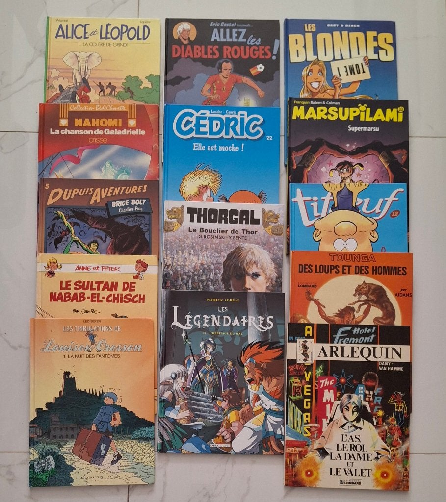 DIFFERENTES BD DUPUIS CASTERMAN LE LOMBARD, Livres, Plusieurs BD, Enlèvement ou Envoi, Comme neuf